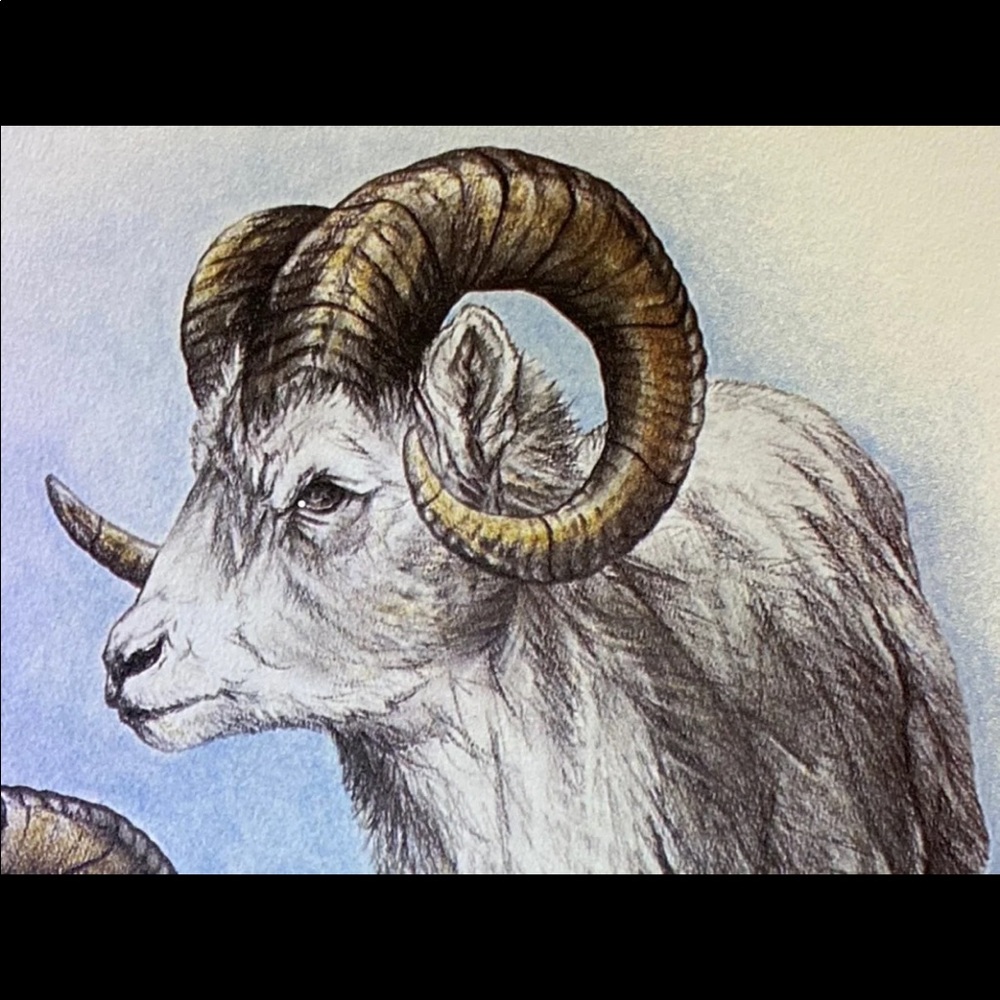 Alaska artwork - Picture 10 of 11